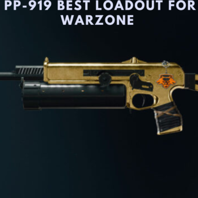 PP-919 Best Loadout For Warzone